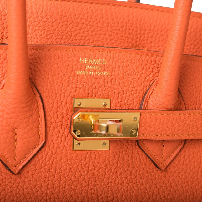Hermes Birkin 25 Poppy Orange Togo Handbag Bag Gold Hardware 2018