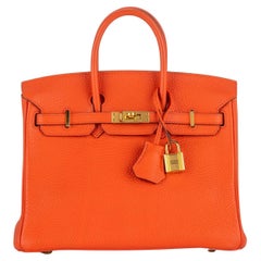 Hermès Birkin 25 Wenig Togo Gold Hardware