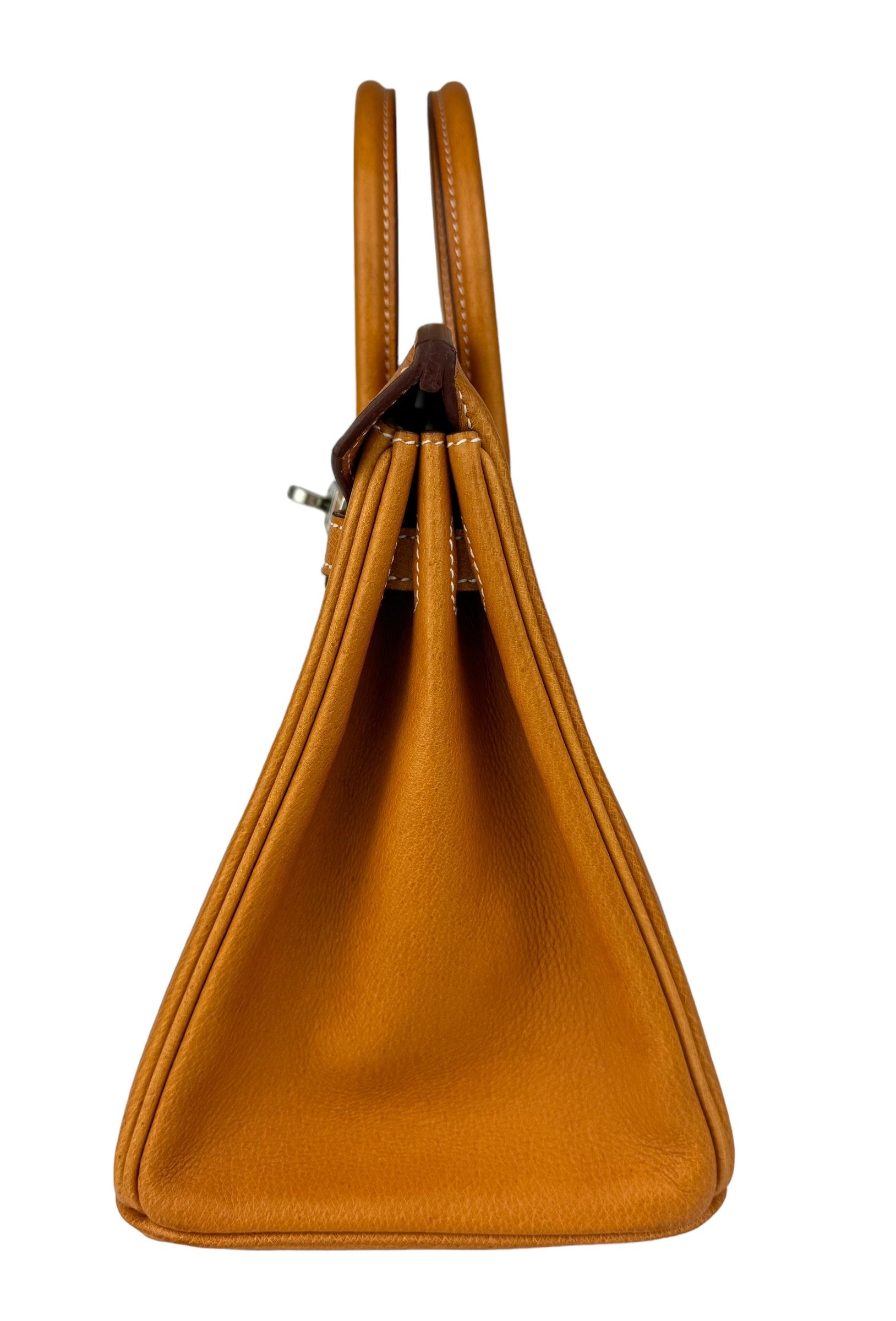 Hermes Birkin 25 Gold Tan Toffee Peau Porc Leather Palladium Hardware ULTRA RARE 4