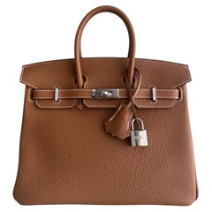 Hermès Birkin 25, goldbraunes Togo-Leder, Palladium-Beschläge, seltene Handtasche mit Tragegriff
