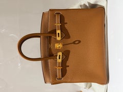 Hermes Birkin 25 Gold Togo Gold Hardware Handtasche
