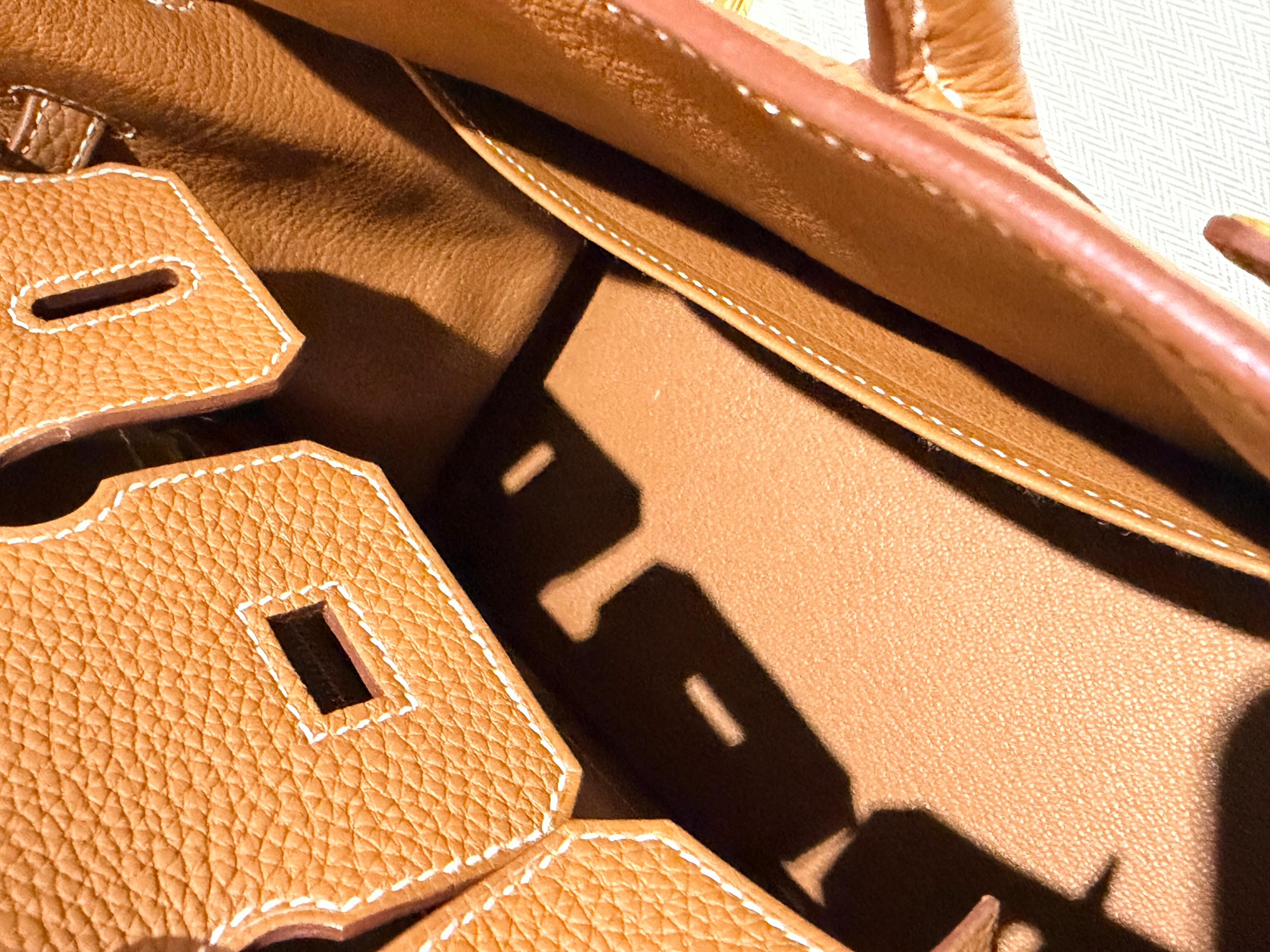 Hermes Birkin 25 Gold Togo Gold Hardware handbag en vente 1