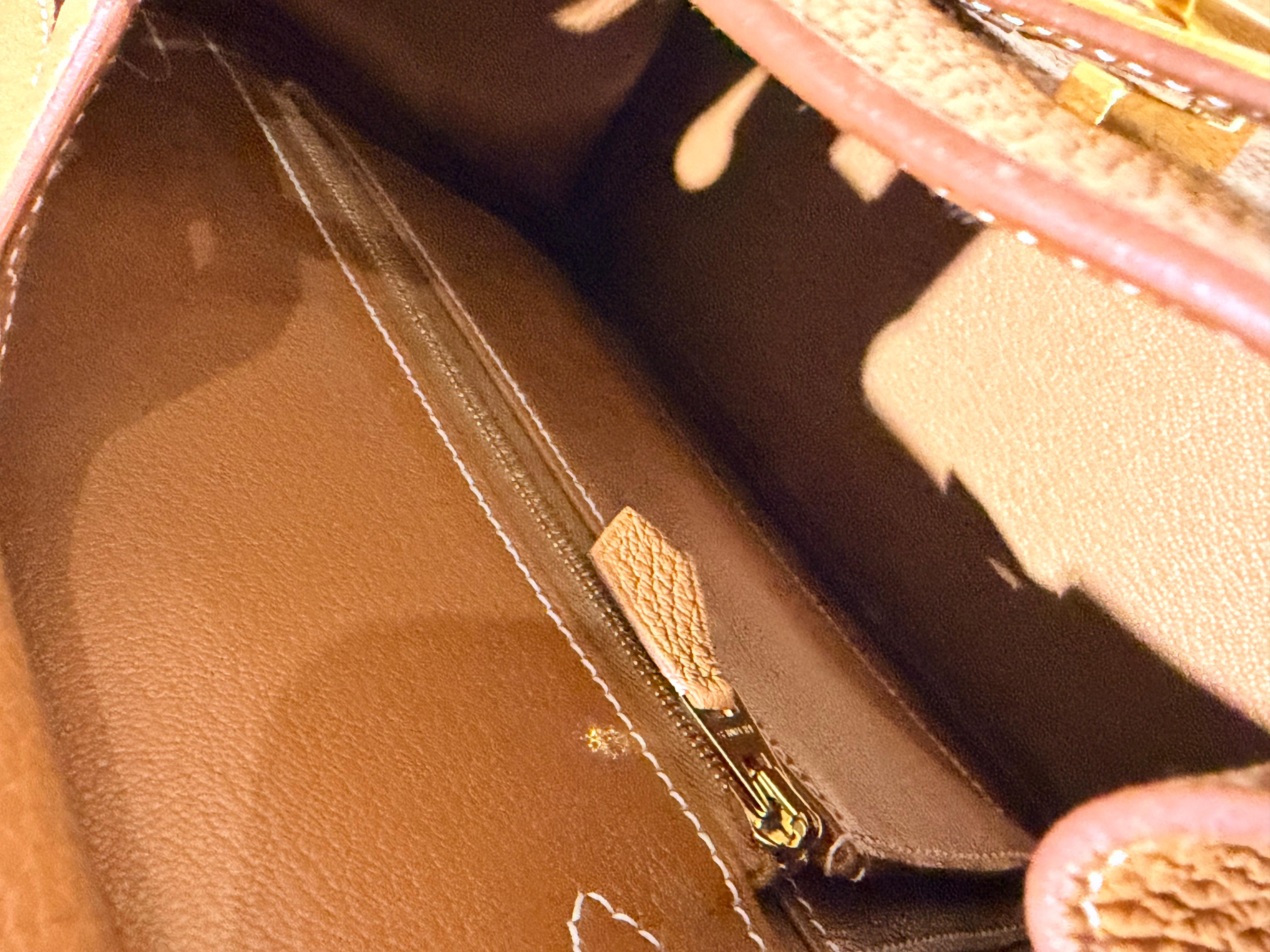 Hermes Birkin 25 Gold Togo Gold Hardware handbag en vente 2