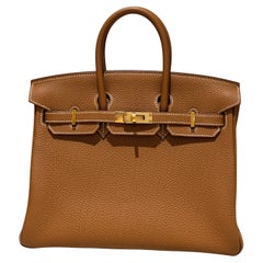 Hermes Birkin 25 Gold Togo Gold Hardware handbag