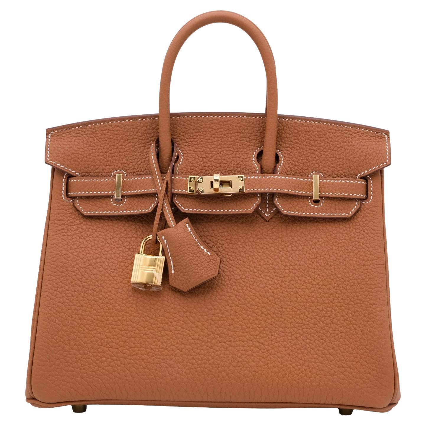 Hermes Birkin 25 Oro Pelle Togo Con Hardware Oro Borsetta