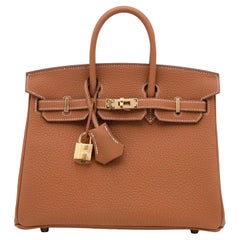 Hermes Birkin 25 Gold Togo Leather With Gold Hardware Handbag