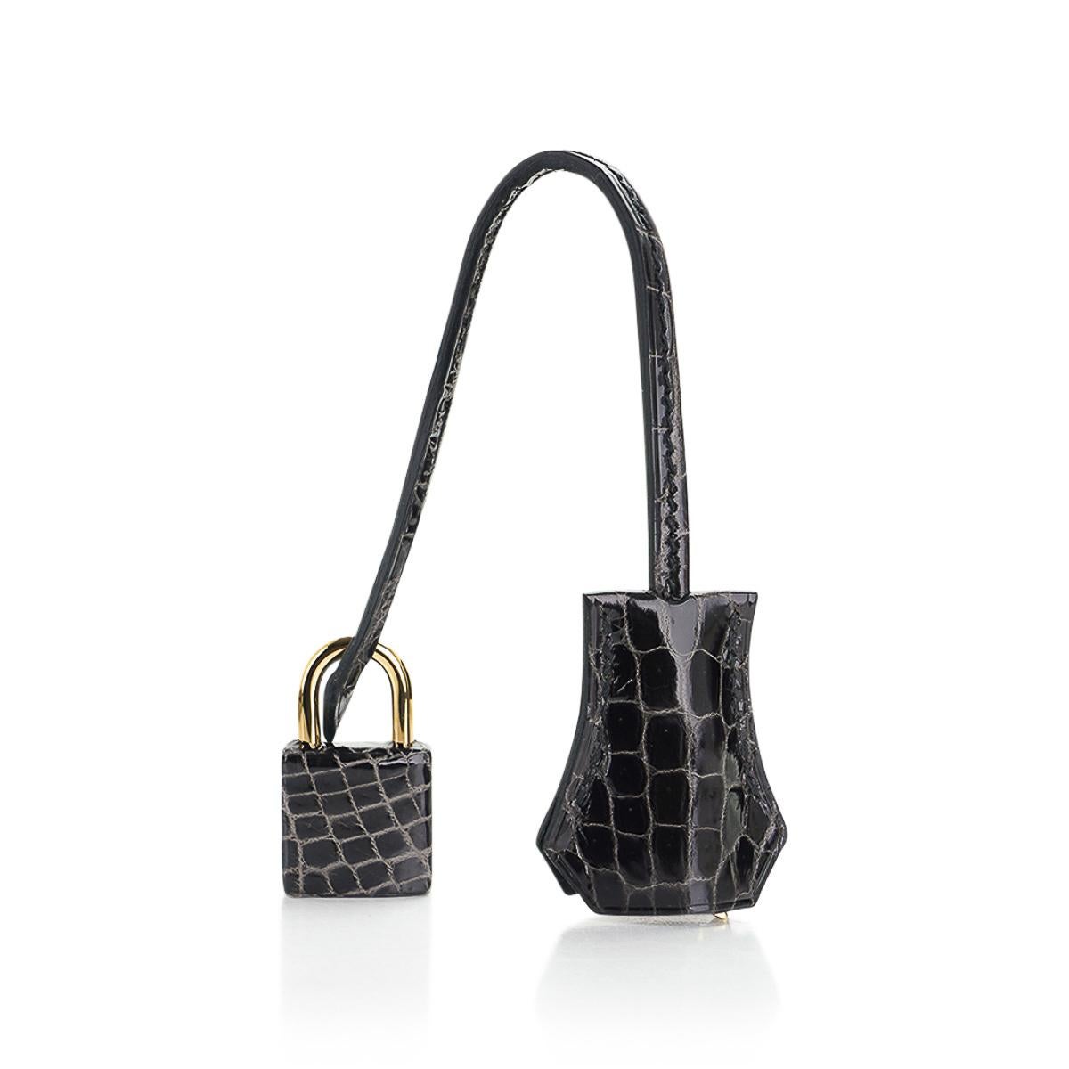 Hermès - Sac Birkin 25 Graphite Crocodile avec accessoires en palladium en vente 4