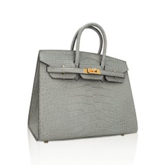 Hermes Birkin 25 Gris Ciment Matte Exotic Skin Bag Gold Hardware