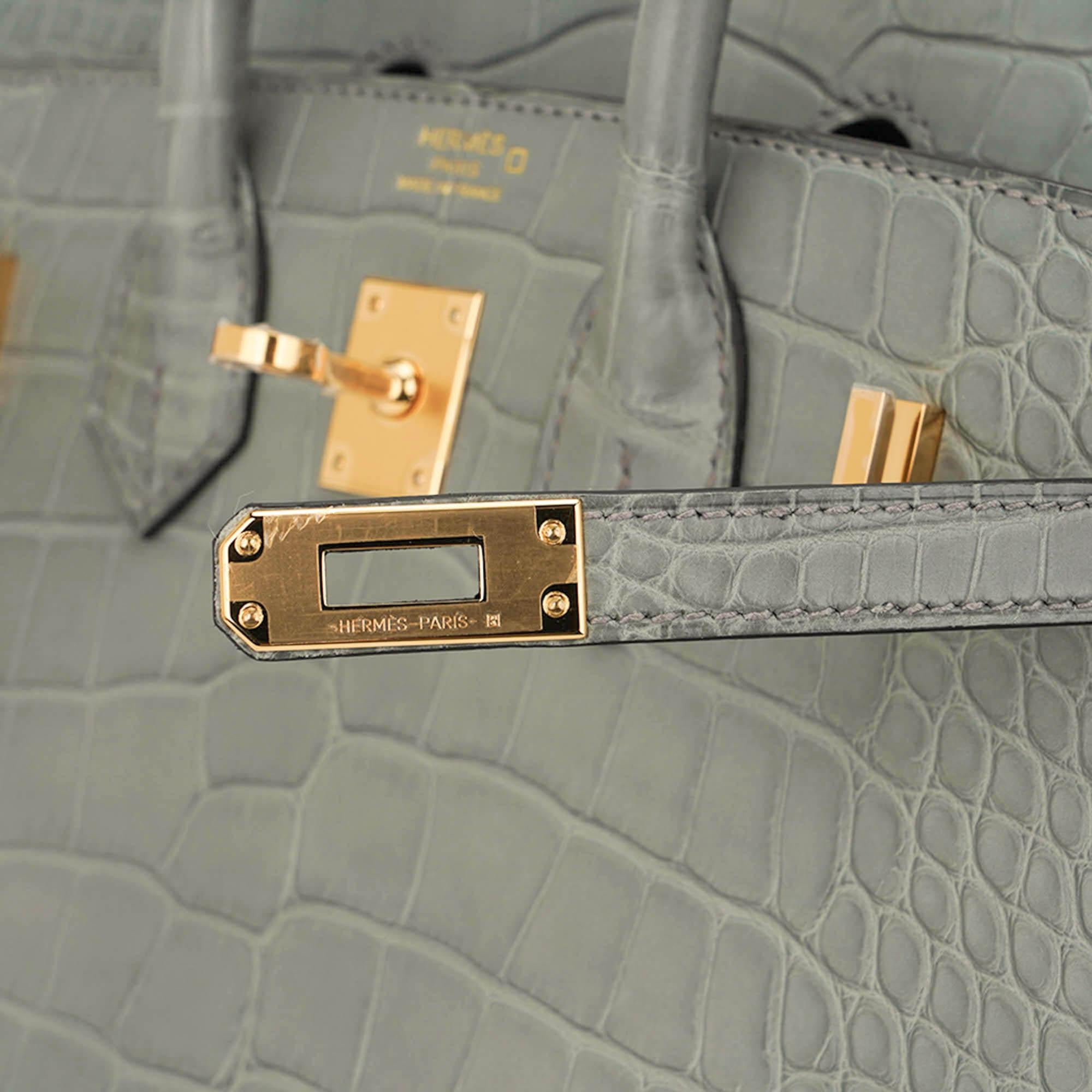 Women's Hermes Birkin 25 Gris Ciment Matte Exotic Skin Bag Gold Hardware For Sale