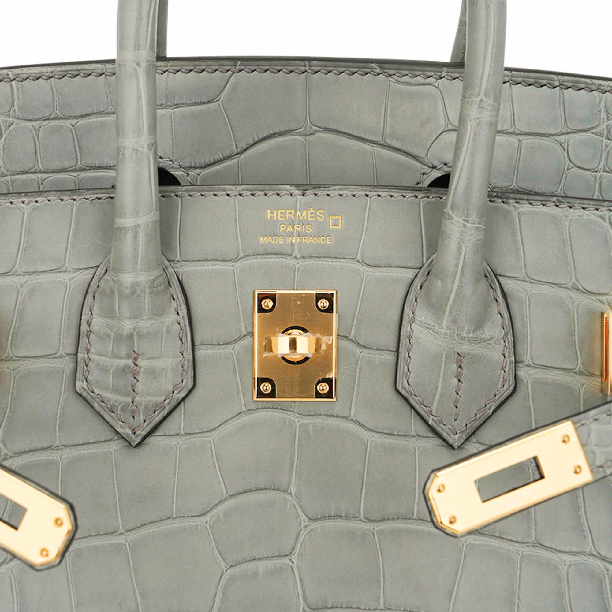 Hermes Birkin 25 Gris Ciment Matte Exotic Skin Bag Gold Hardware For Sale 2