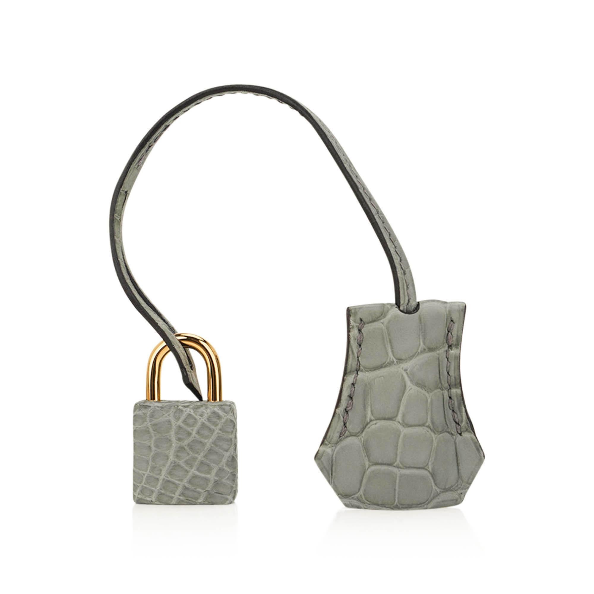 Hermes Birkin 25 Gris Ciment Matte Exotic Skin Bag Gold Hardware For Sale 3