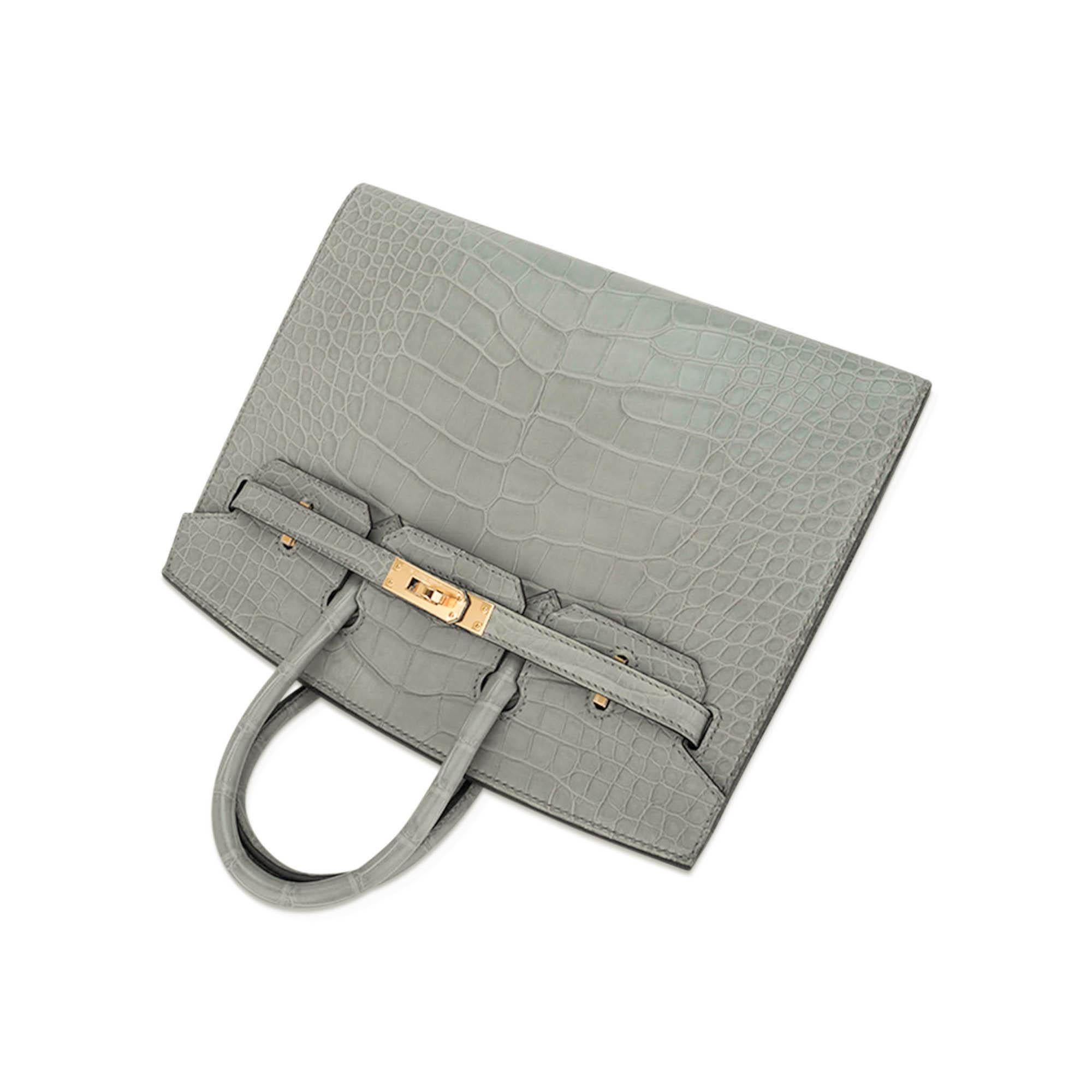 Hermes Birkin 25 Gris Ciment Matte Exotic Skin Bag Gold Hardware For Sale 4