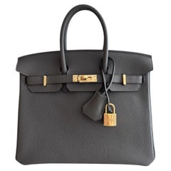 Hermes Birkin 25 Gris Etain Gray Togo Leder Gold Hardware Top Handle Bag