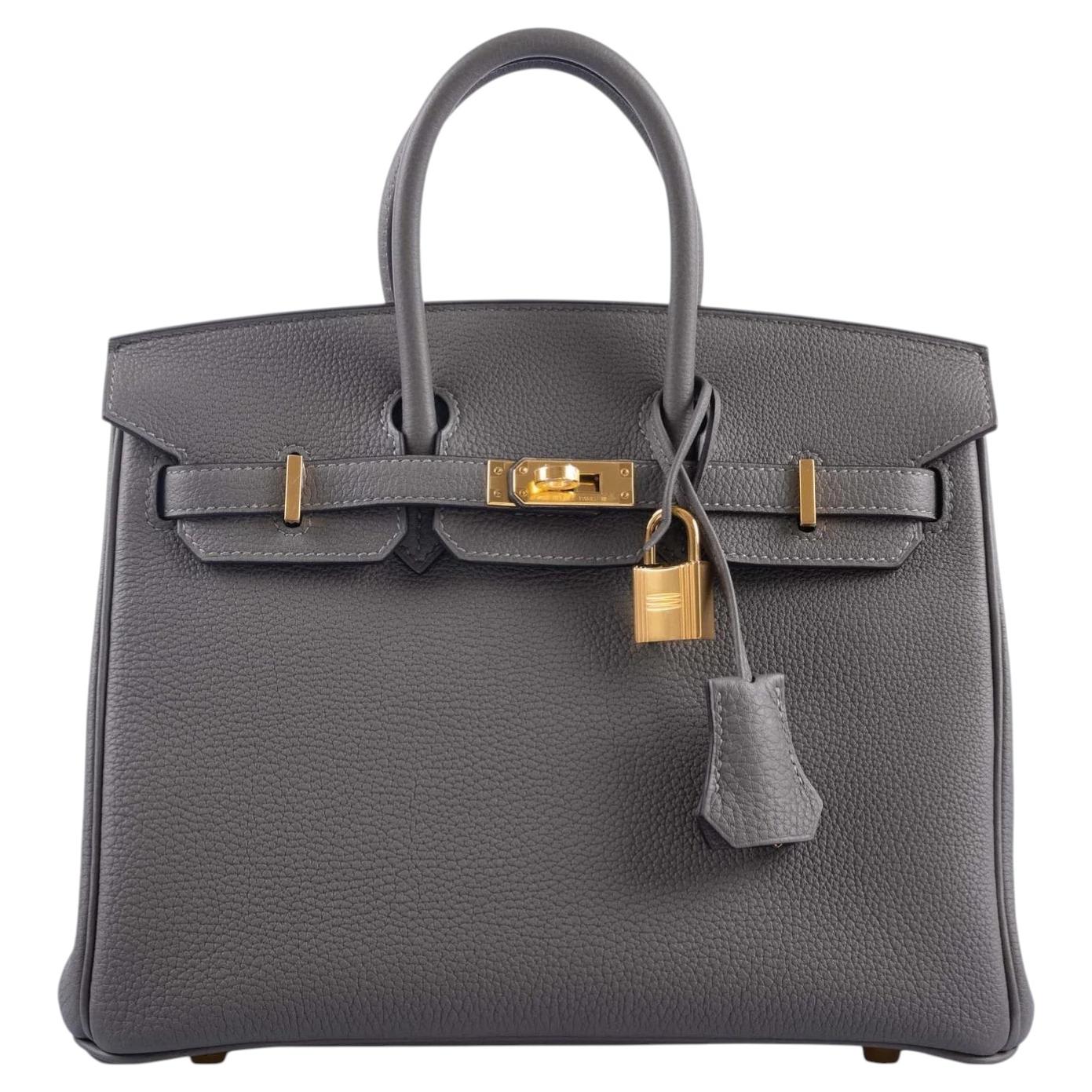 Hermès Birkin 25 Gris Meyer Togo Leather With Gold Hardware Handbag