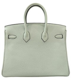Hermes Birkin 25 Gris Neve Gray Togo Leder Gold Hardware Top Handle Bag