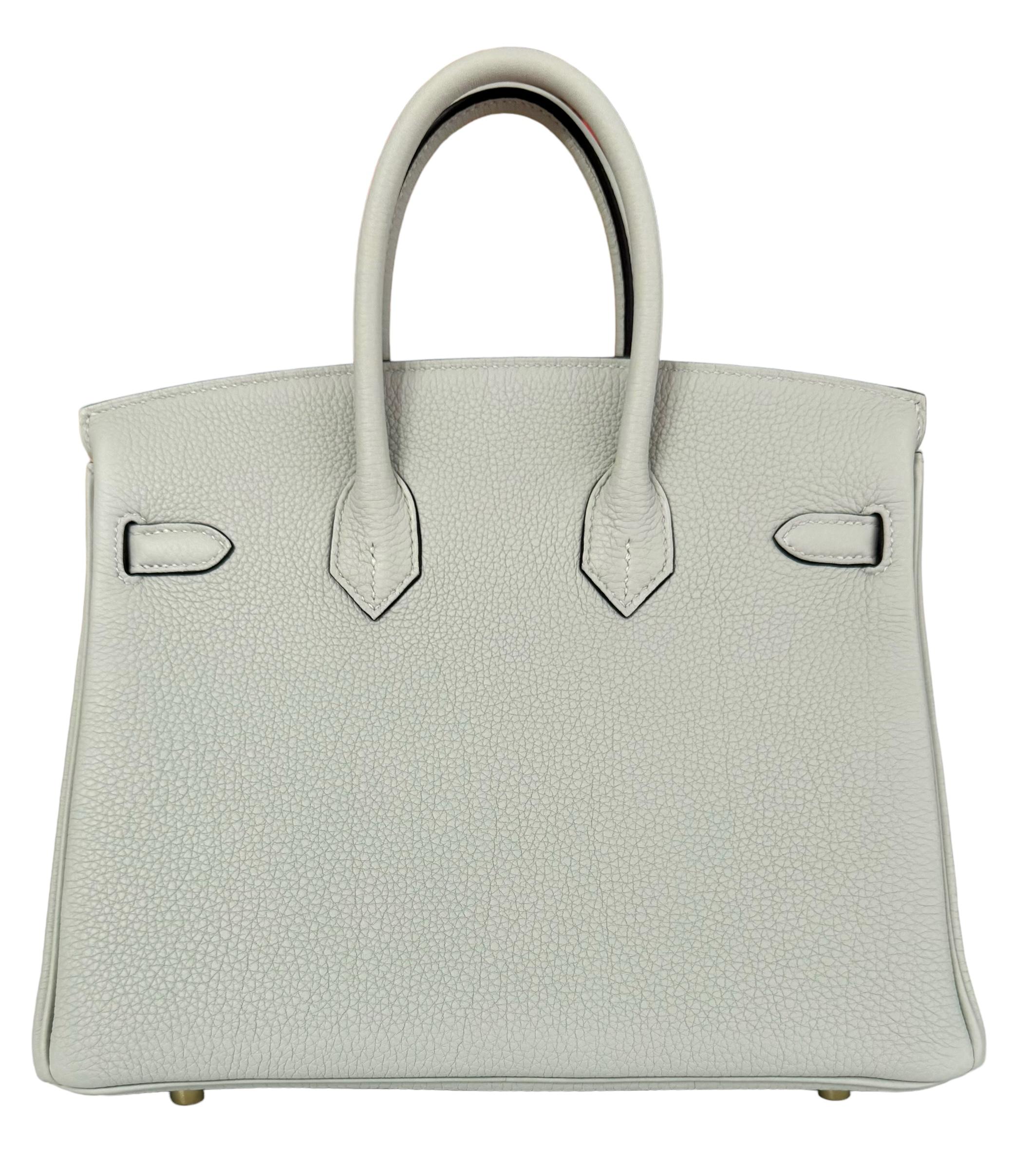 Women's or Men's Hermes Birkin 25 Gris Neve Gray Togo Leather Handbag Gold Hardware NEW 2023 For Sale