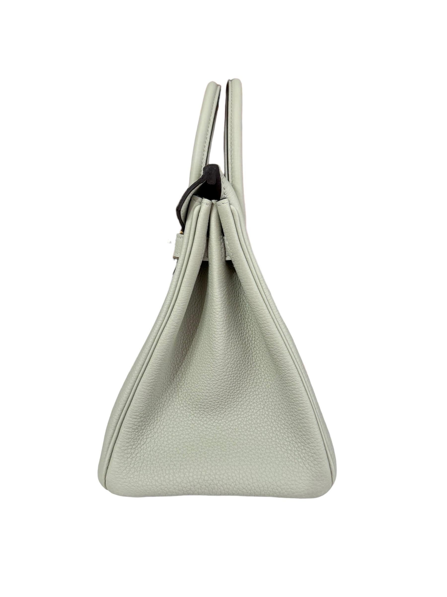 Hermes Birkin 25 Gris Neve Gray Togo Leather Handbag Gold Hardware NEW 2023 For Sale 1