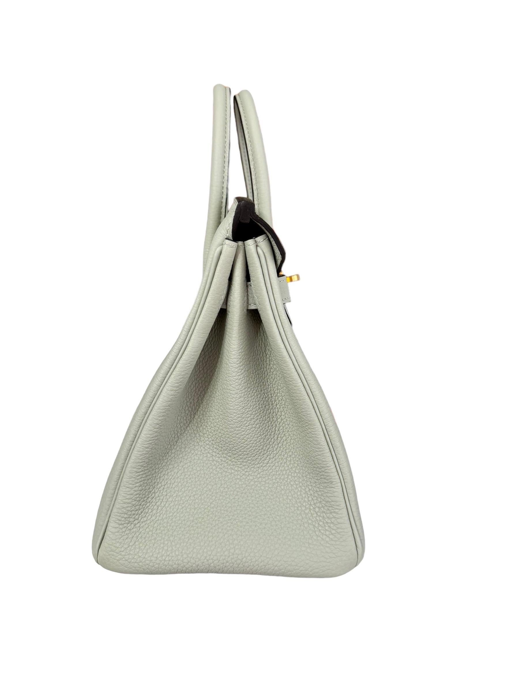 Hermes Birkin 25 Gris Neve Gray Togo Leather Handbag Gold Hardware NEW 2023 For Sale 2