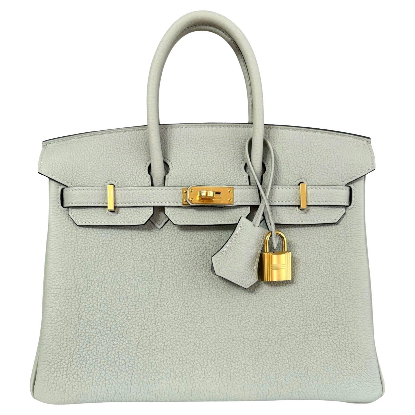 Hermes Birkin 25 Gris Neve Gray Togo Leather Handbag Gold Hardware NEW 2023 For Sale