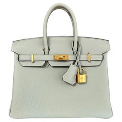 Hermes Birkin 25 Gris Neve Gray Togo Leather Handbag Gold Hardware NEW 2023