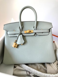 Hermès Birkin 25 Gris Neve Togo Gold Bag
