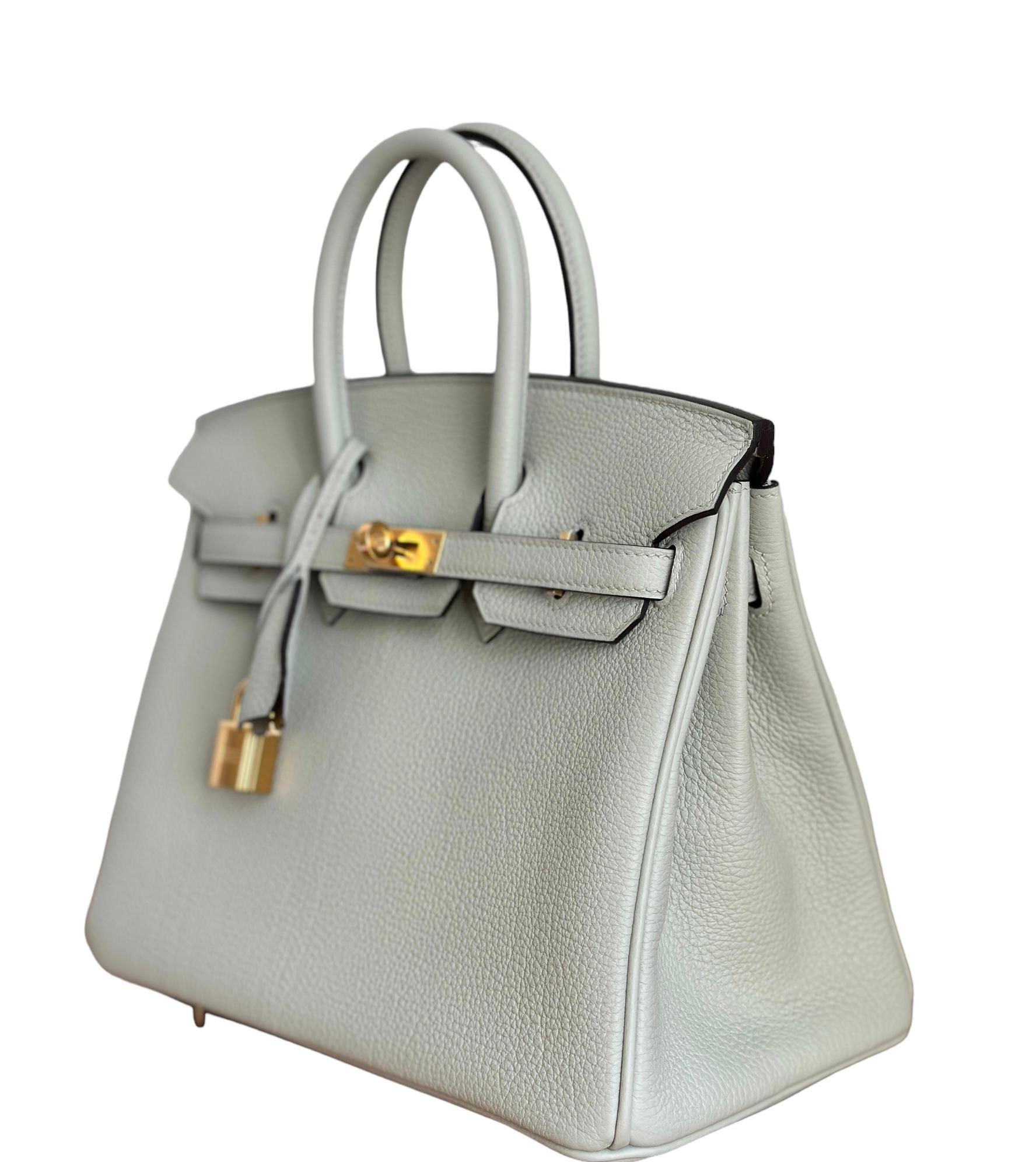 Hermès Birkin 25 Gris Neve Togo Gold Bag 1