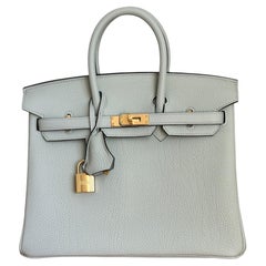 Hermès Birkin 25 Gris Neve Togo Gold Bag