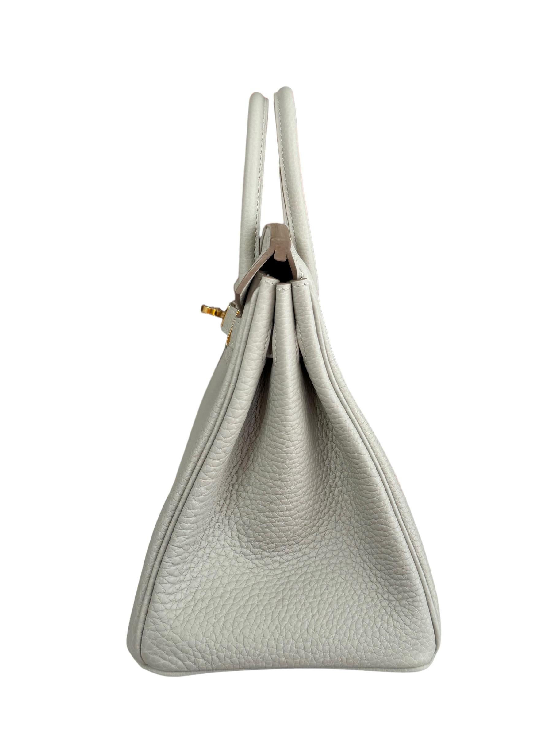 Hermes Birkin 25 Gris Perle Gray Togo Leather Handbag Gold Hardware NEW 2