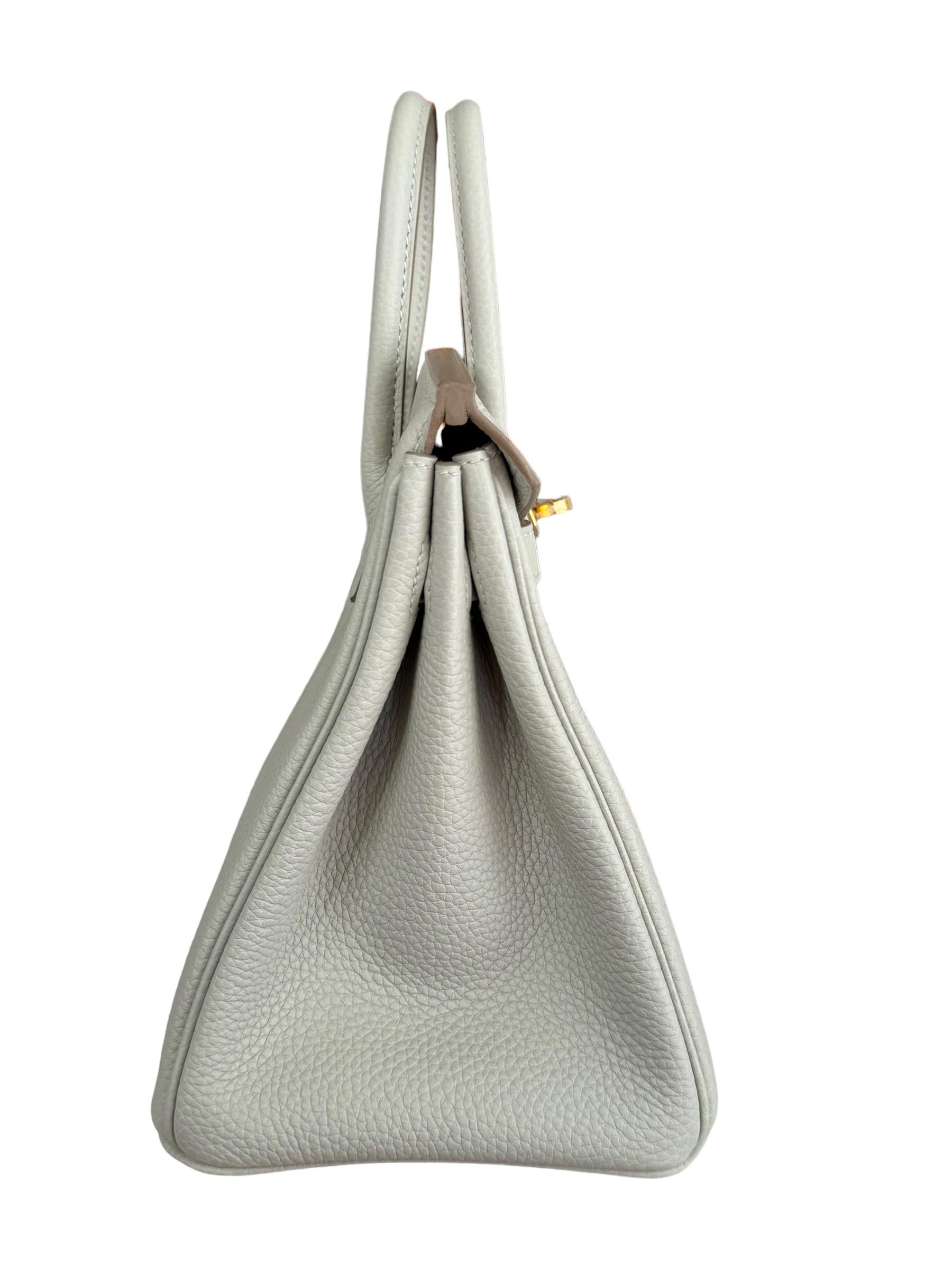 Hermes Birkin 25 Gris Perle Gray Togo Leather Handbag Gold Hardware NEW 3