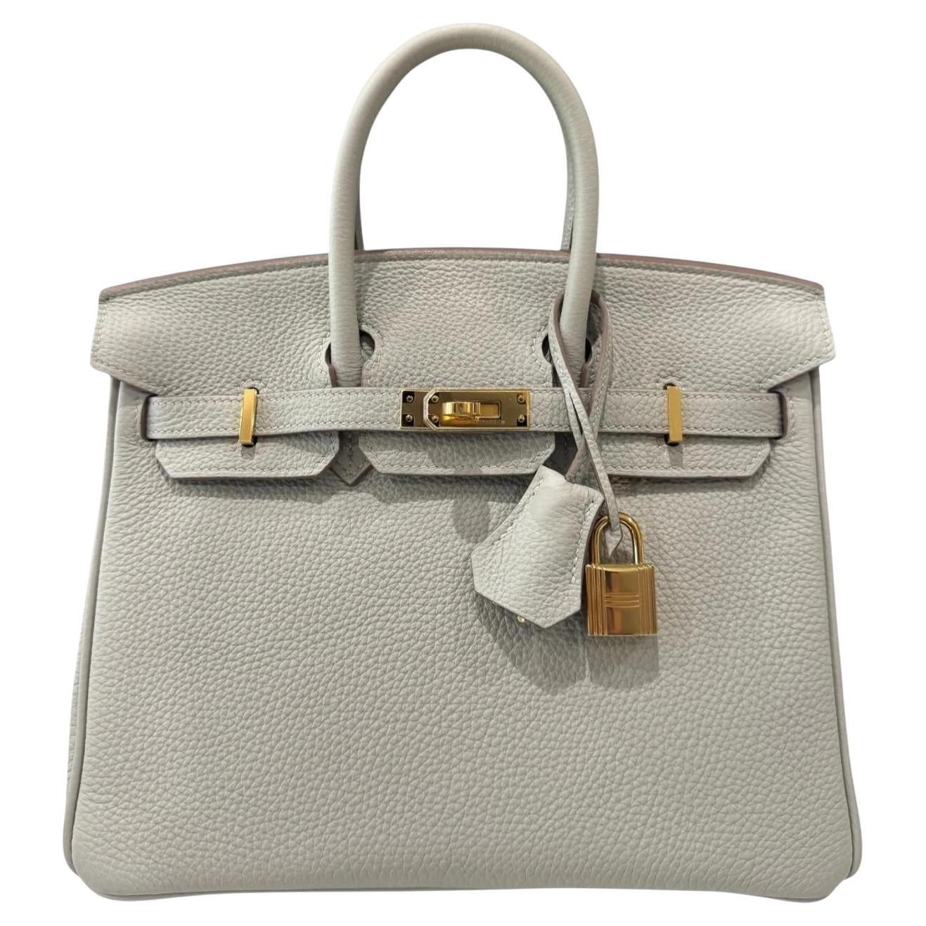 Hermes Birkin 25 Gris Perle Perla Grigio Togo Pelle Hardware Oro Borsa con manico superiore in vendita