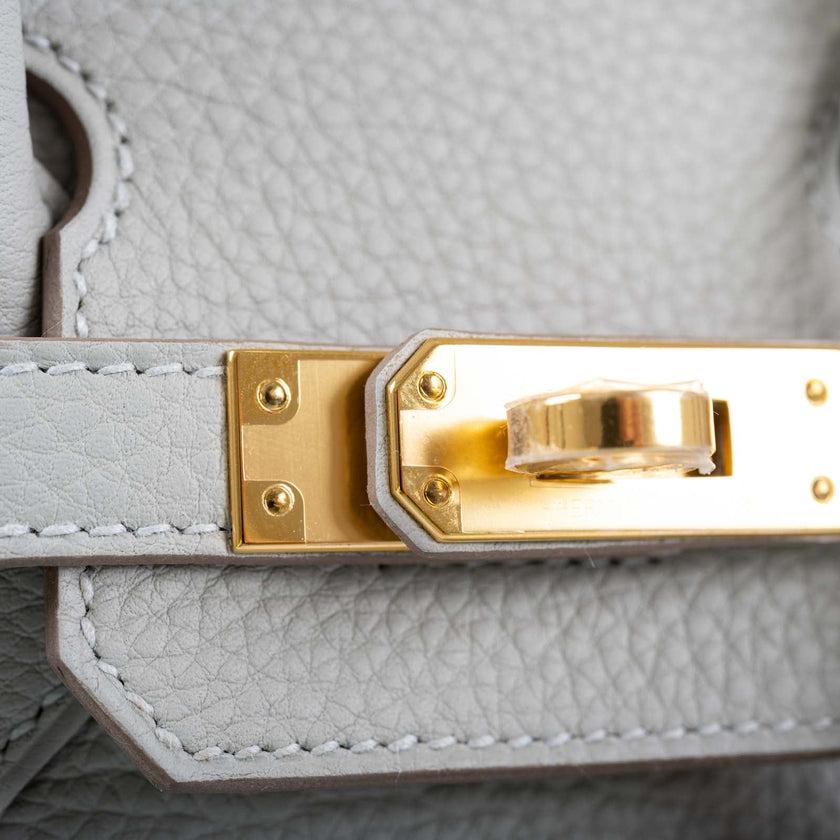 Hermès Birkin 25 Gris Perle Togo Gold Hardware Bag 1
