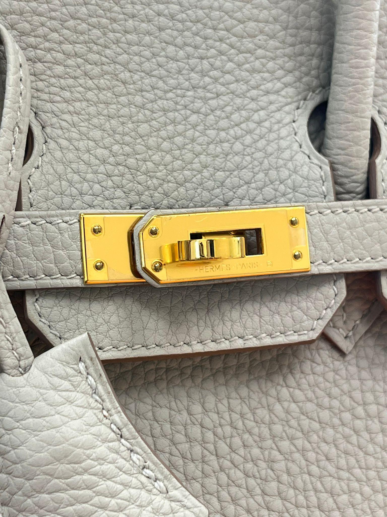 Hermes Birkin 25 Gris Perle Togo Leather With Gold Hardware Handbag For Sale 9