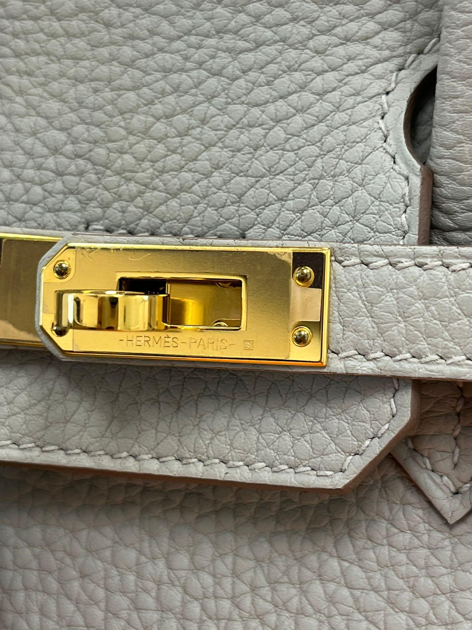 Hermes Birkin 25 Gris Perle Togo Leather With Gold Hardware Handbag For Sale 10