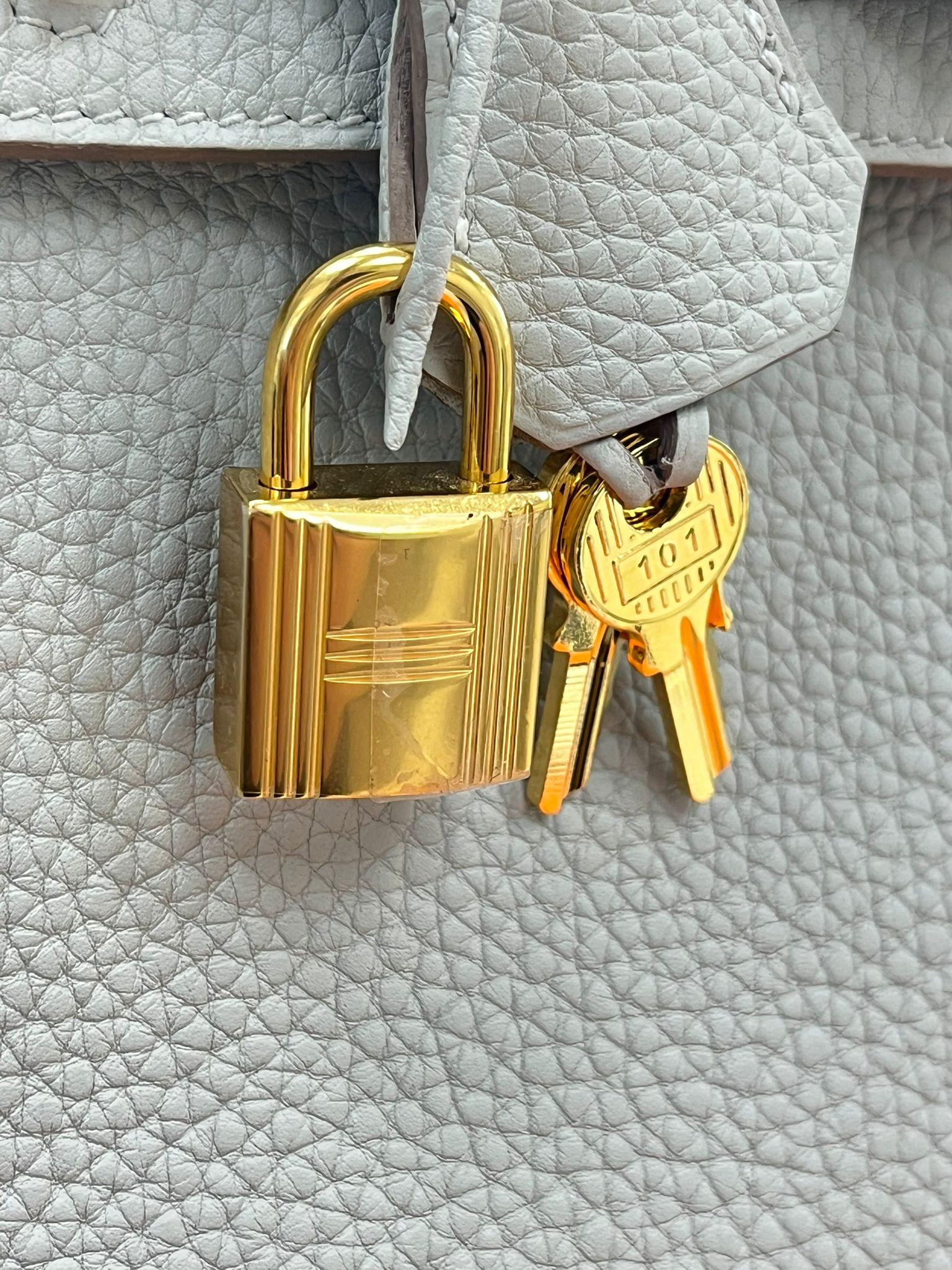 Hermes Birkin 25 Gris Perle Togo Leather With Gold Hardware Handbag For Sale 13