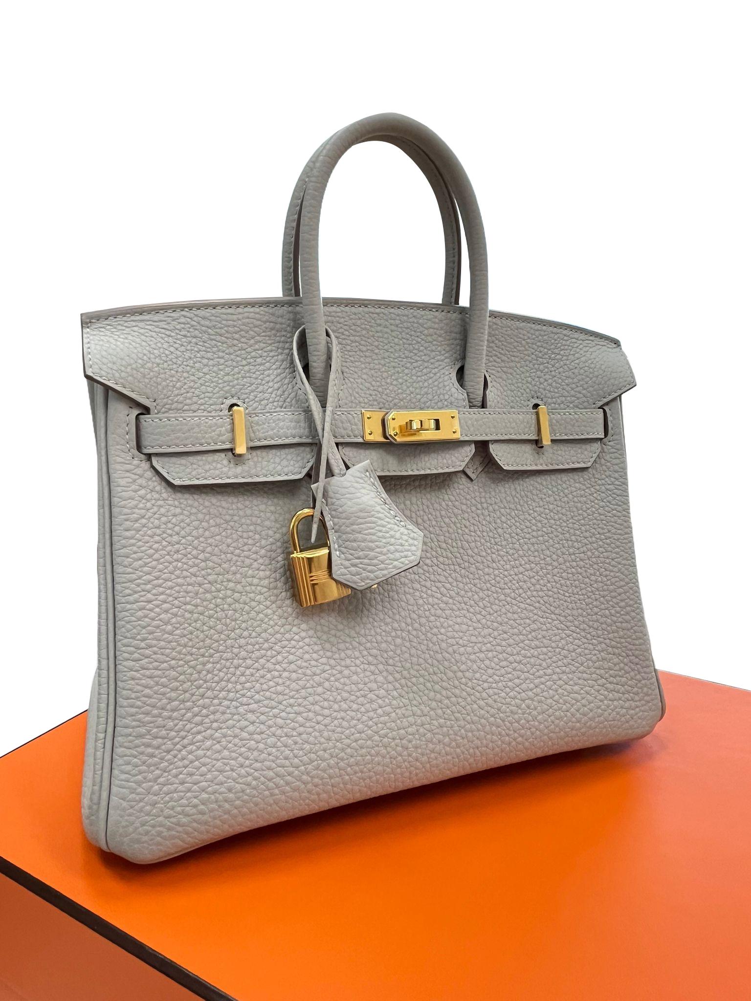 Hermes Birkin 25 Gris Perle Togo Leather With Gold Hardware Handbag For Sale 1