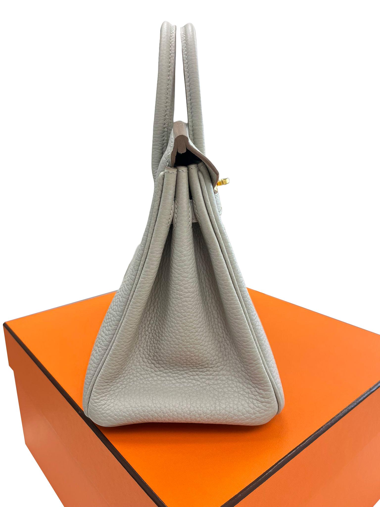Hermes Birkin 25 Gris Perle Togo Leather With Gold Hardware Handbag For Sale 2