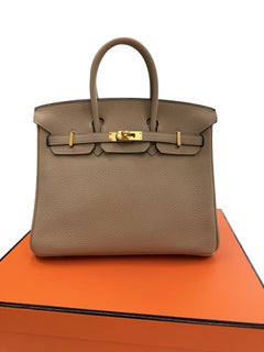 Hermes Birkin 25 Gris Tourterelle Togo Leather With Gold Hardware Handbag