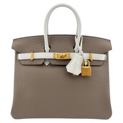 Hermes Birkin 25 Gris Tourterelle White Gray Leather Brushed Gold Top Handle Bag