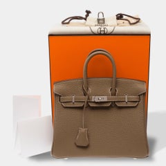 Hermès Birkin 25 Handbag Grey