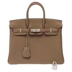 Hermès Birkin 25 Handbag Grey