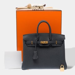 Hermès Birkin 25 Handbag Gris Misty Togo Leather Women's 2025 Mint