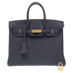 Hermès Birkin 25 Handbag Gris Misty Togo Leather Women's 2025 Mint