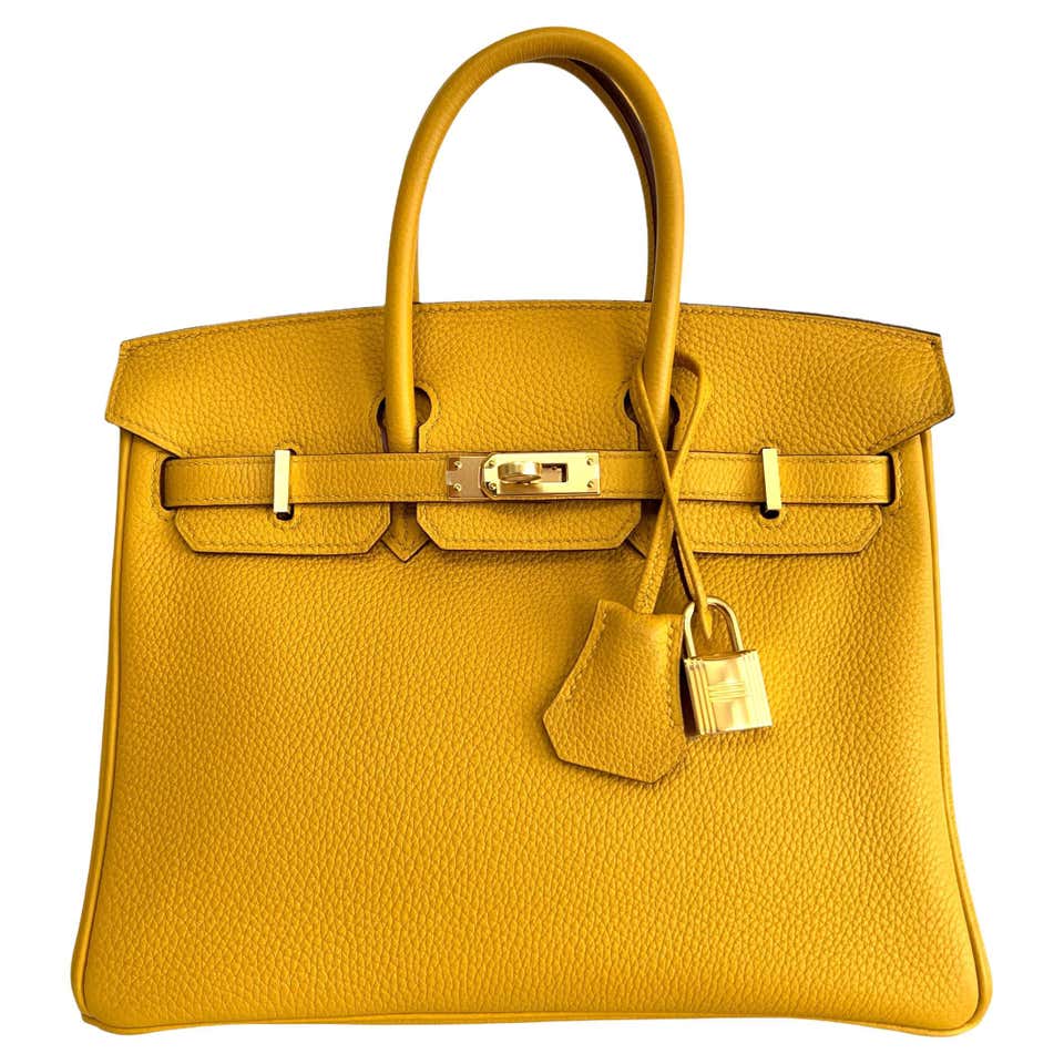 Hermès Orange Ostrich Skin 35 cm Birkin Bag with Gold Hardware at ...