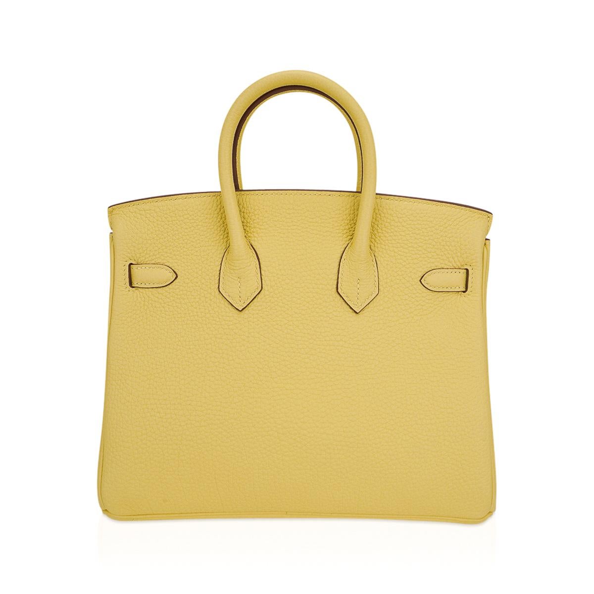 Hermes Birkin 25 Jaune Poussin Borsa Palladium Hardware Pelle Togo in vendita 2