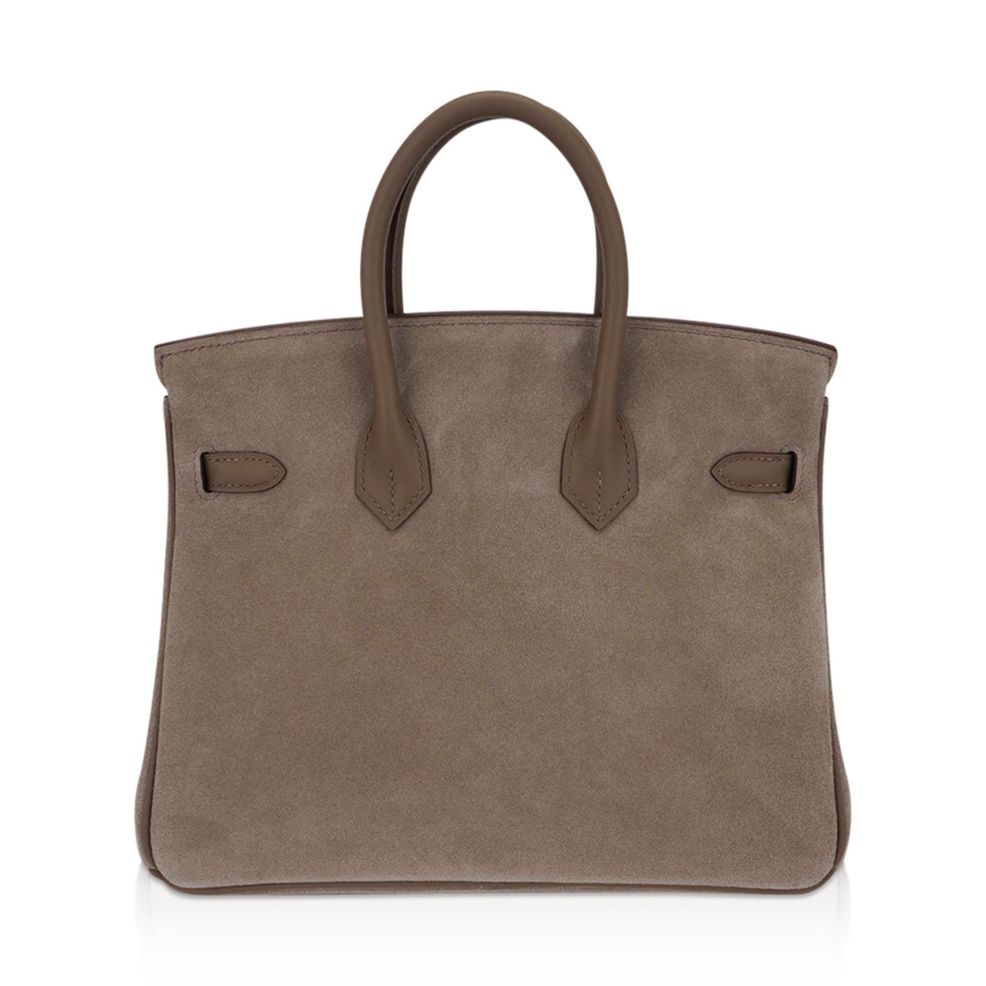 Hermes Birkin 25 Limited Edition Grizzly Gris Caillou Etoupe Swift Leather Bag en vente 3