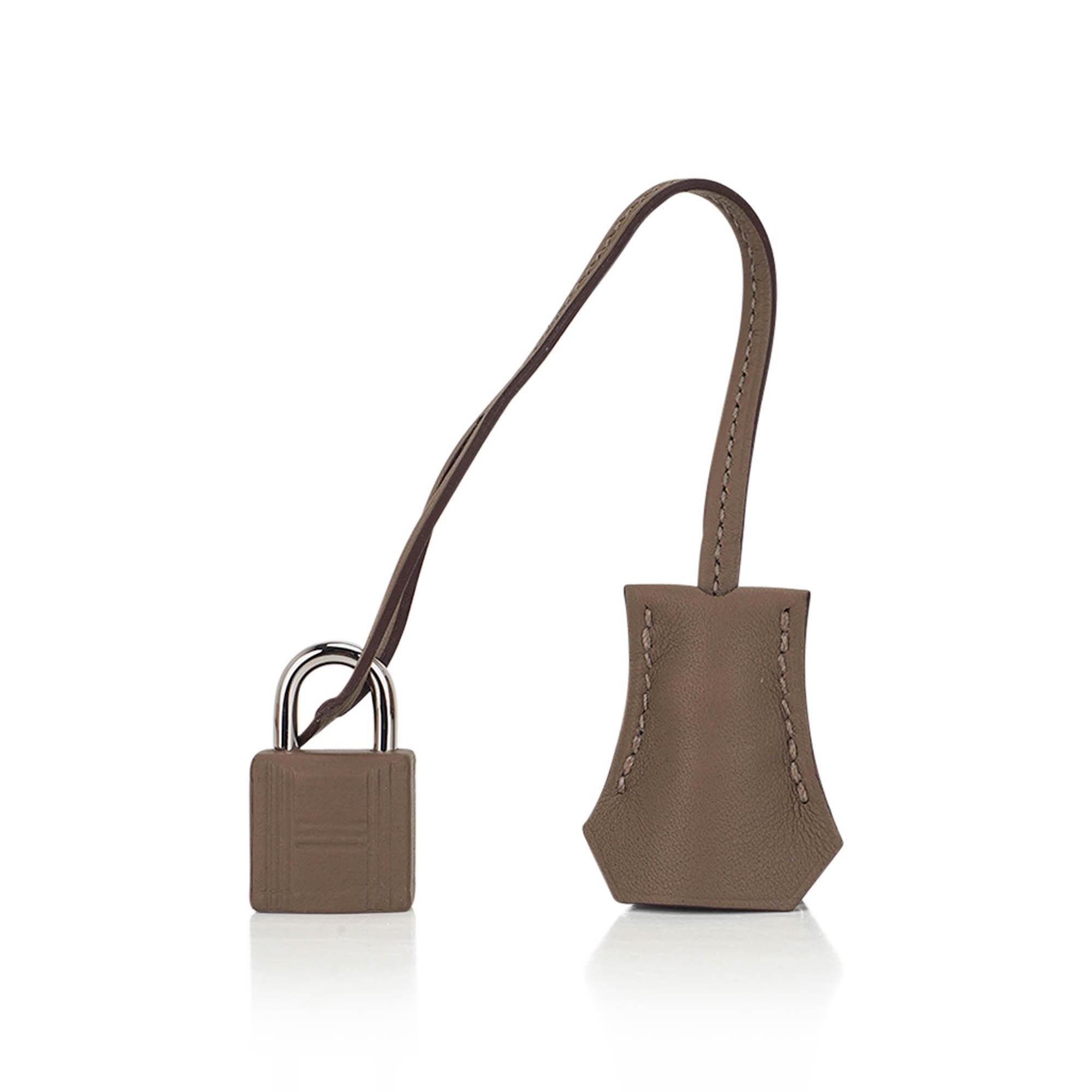 Hermes Birkin 25 Edizione Limitata Grizzly Gris Caillou Etoupe Swift Borsa in Pelle in vendita 4