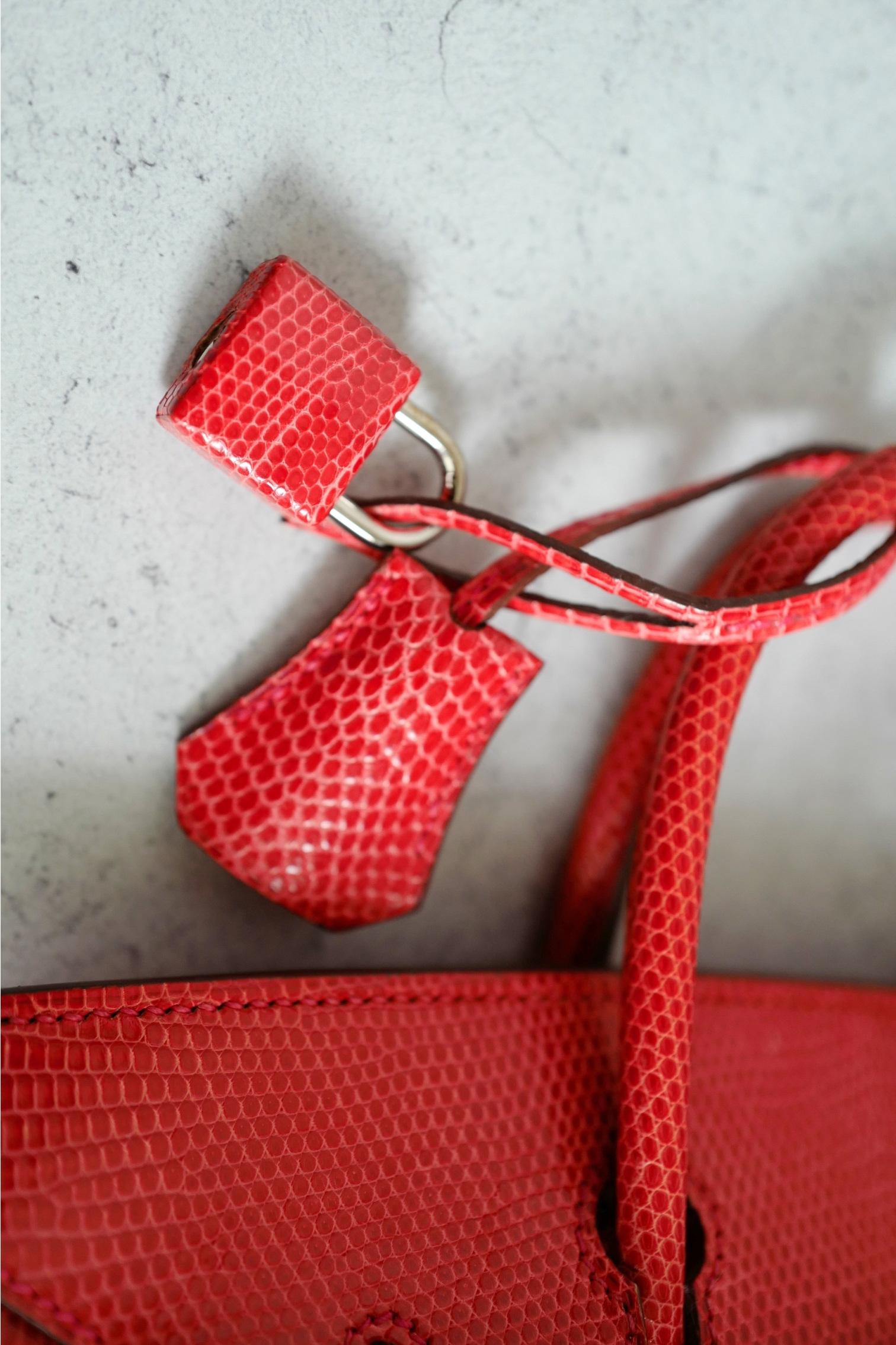 Hermes Birkin 25 Lizard In Bougainvillea Red With Palladium HW en venta 11