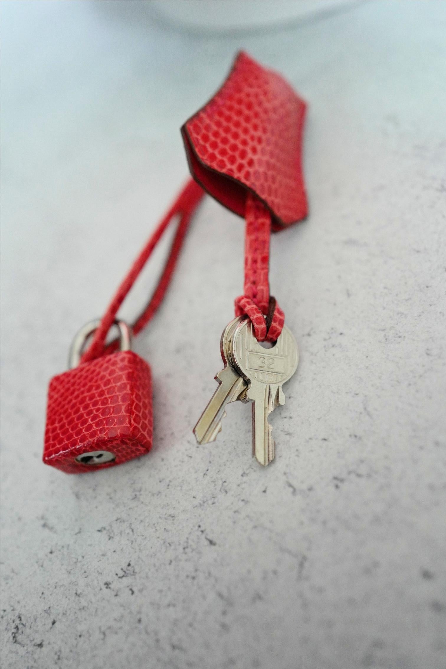 Hermes Birkin 25 Lizard In Bougainvillea Red With Palladium HW en venta 12