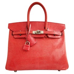 Hermes Birkin 25 Lizard In Bougainvillea Red With Palladium HW