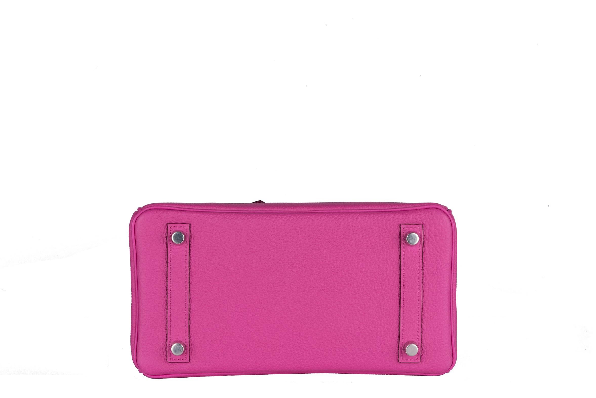 Hermes Birkin 25 Magnolia Togo Palladium Bag 5